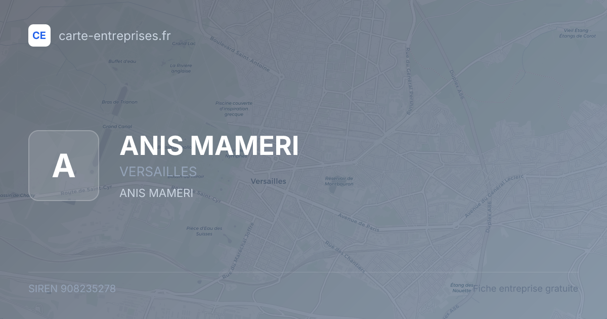 ANIS MAMERI — 908235278 — fiche entreprise