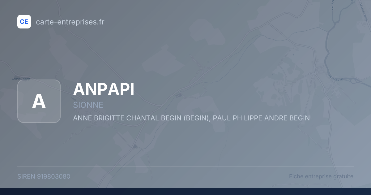 ANPAPI — 919803080 — fiche entreprise