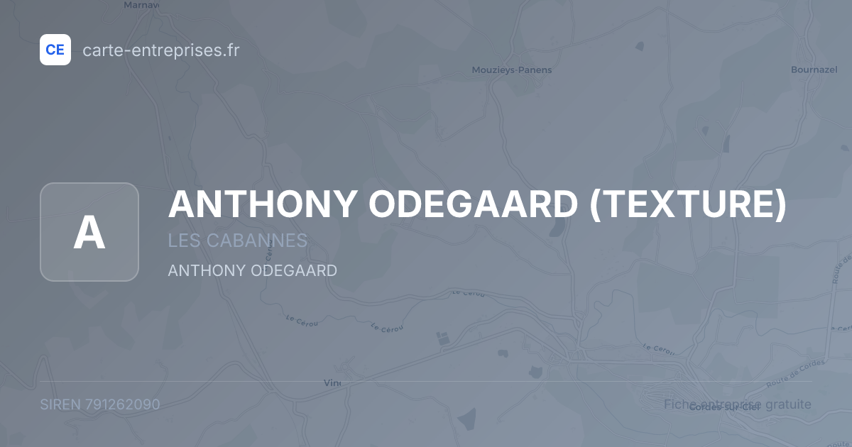 ANTHONY ODEGAARD (TEXTURE) — 791262090 — fiche entreprise