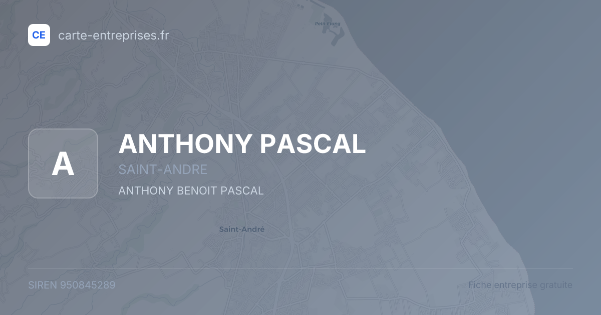 ANTHONY PASCAL — 950845289 — fiche entreprise