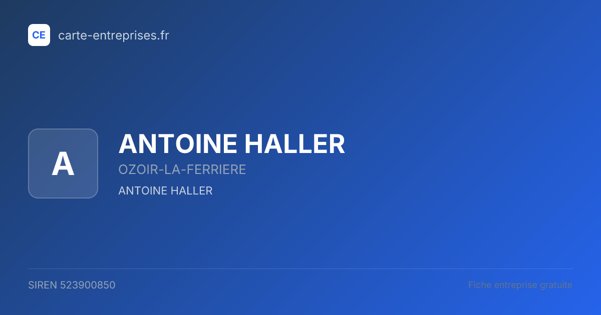 ANTOINE HALLER — 523900850 — fiche entreprise