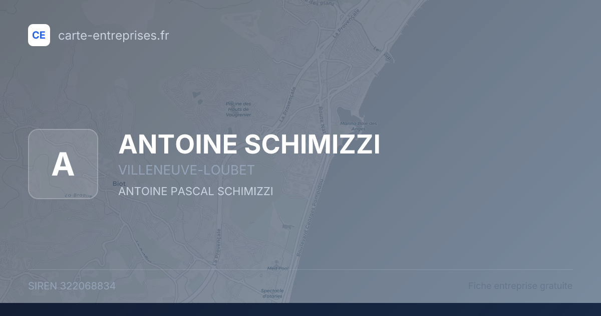 ANTOINE SCHIMIZZI — 322068834 — fiche entreprise
