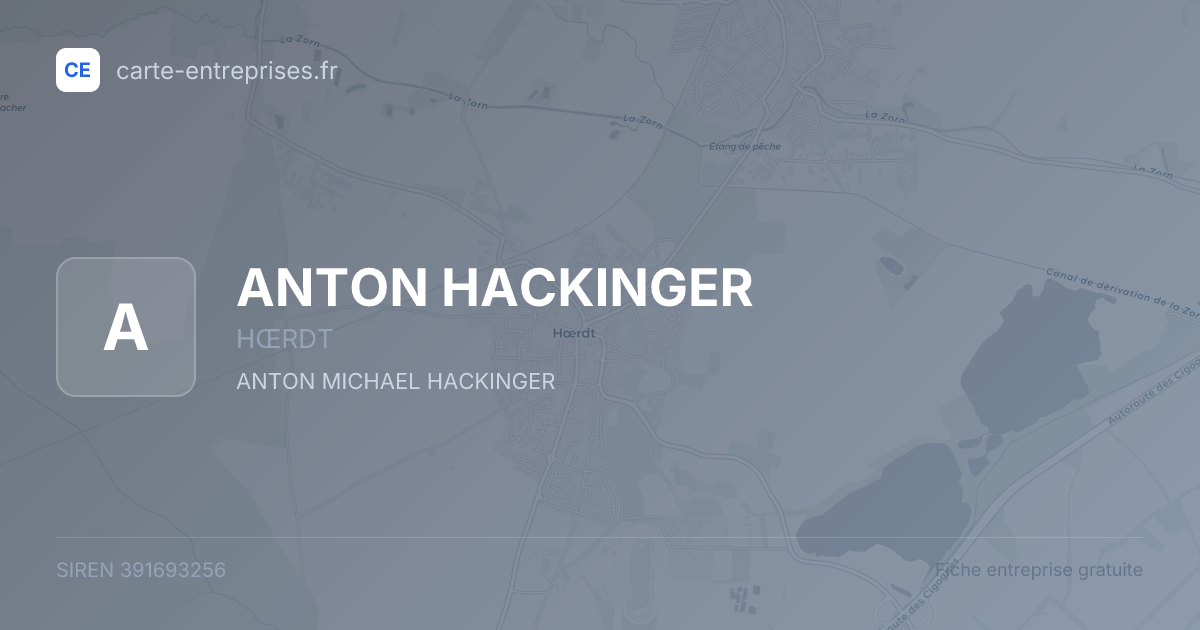 ANTON HACKINGER — 391693256 — fiche entreprise