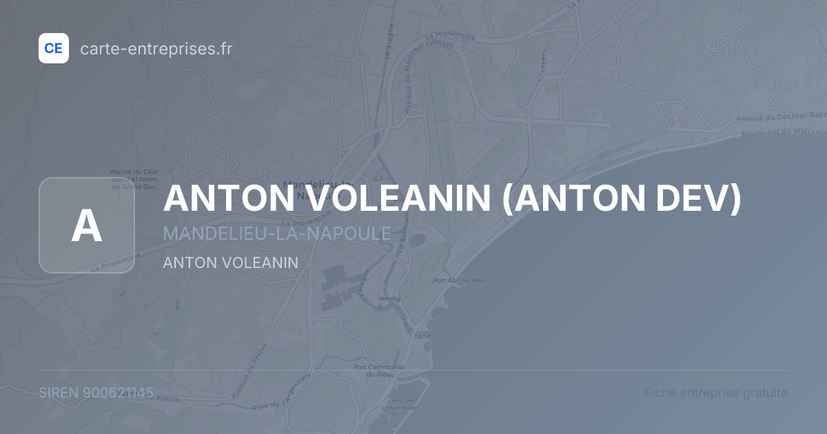 ANTON VOLEANIN (ANTON DEV) — 900621145 — fiche entreprise