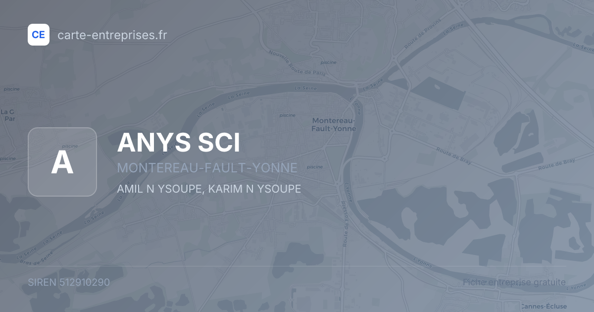 ANYS SCI — 512910290 — fiche entreprise