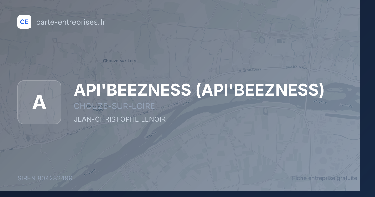 API'BEEZNESS — 804282499 — fiche entreprise