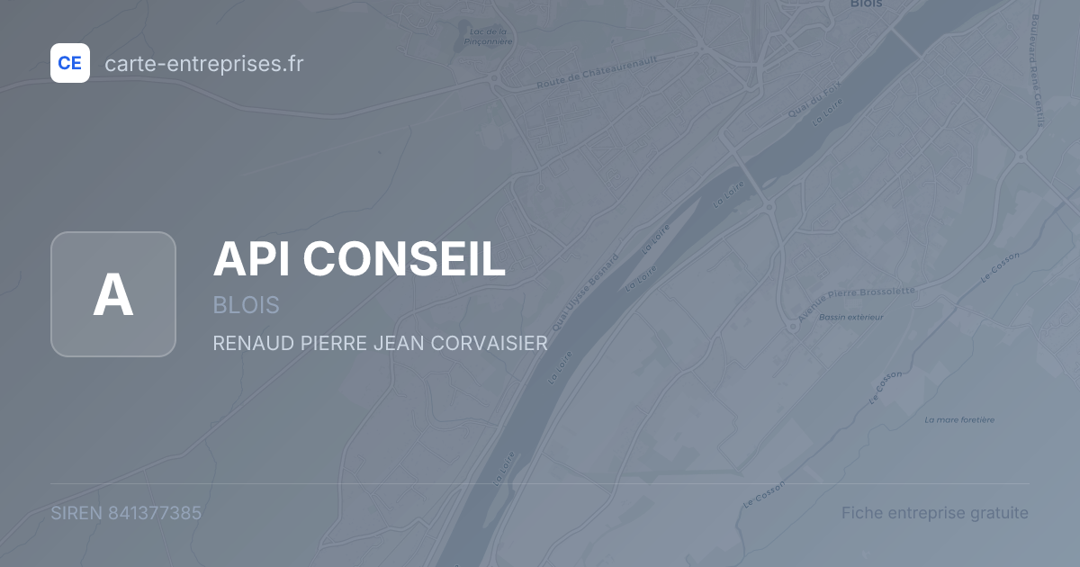 API CONSEIL — 841377385 — fiche entreprise