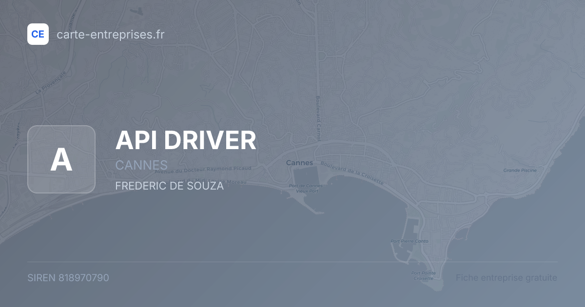 API DRIVER — 818970790 — fiche entreprise