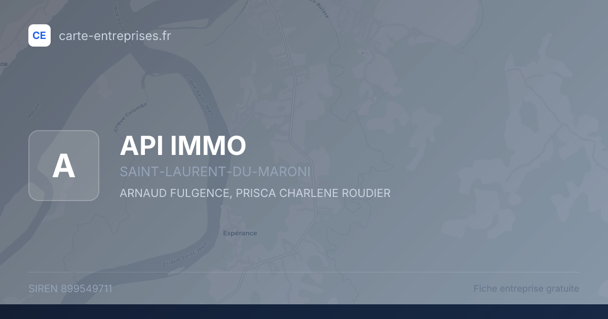 API IMMO — 899549711 — fiche entreprise