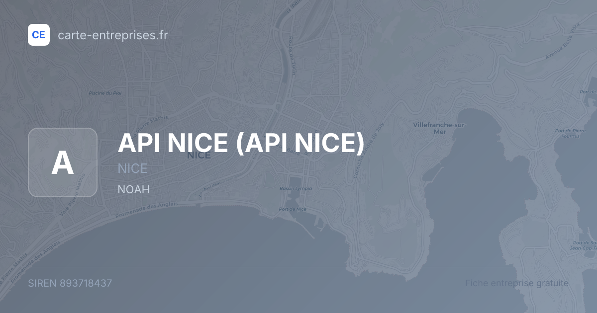 API NICE — 893718437 — fiche entreprise