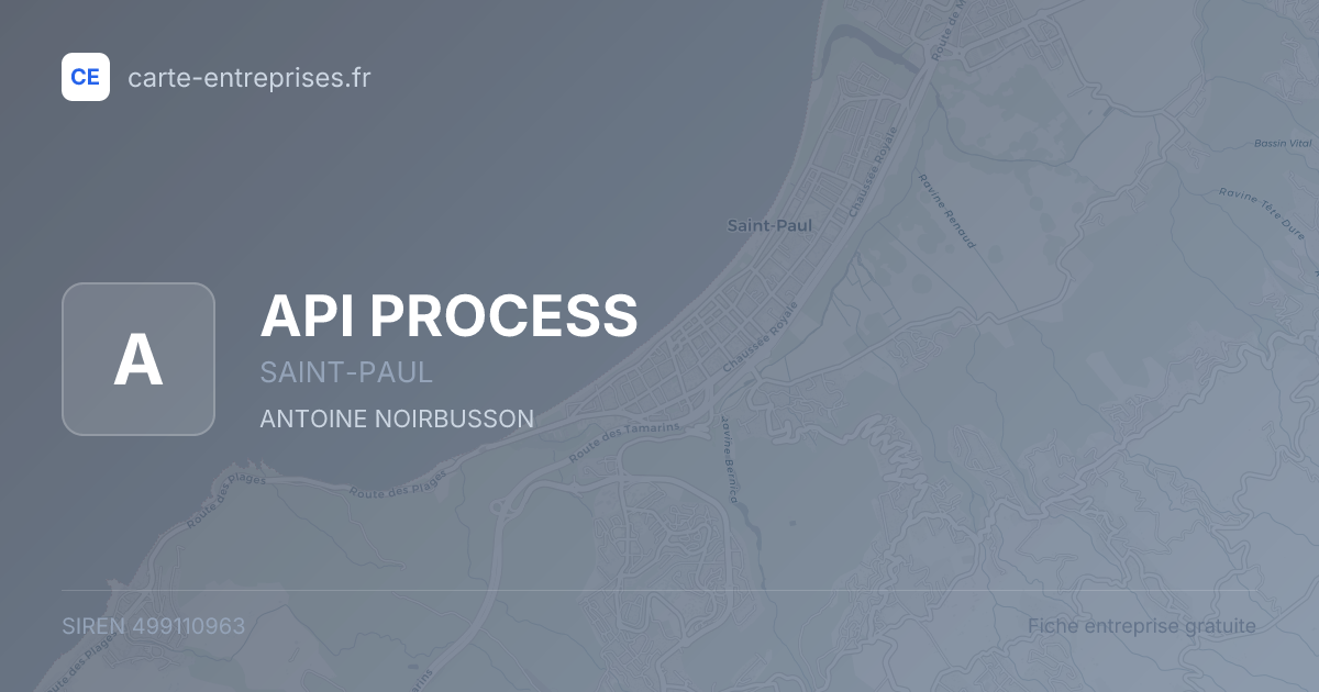 API PROCESS — 499110963 — fiche entreprise