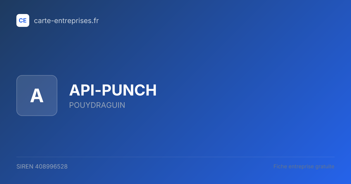 API-PUNCH — 408996528 — fiche entreprise