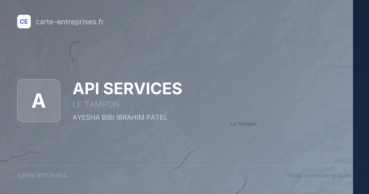 API SERVICES — 911174464 — fiche entreprise