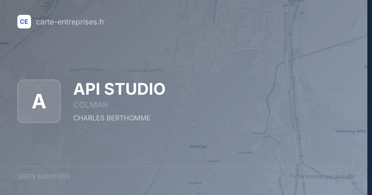 API STUDIO — 809801558 — fiche entreprise