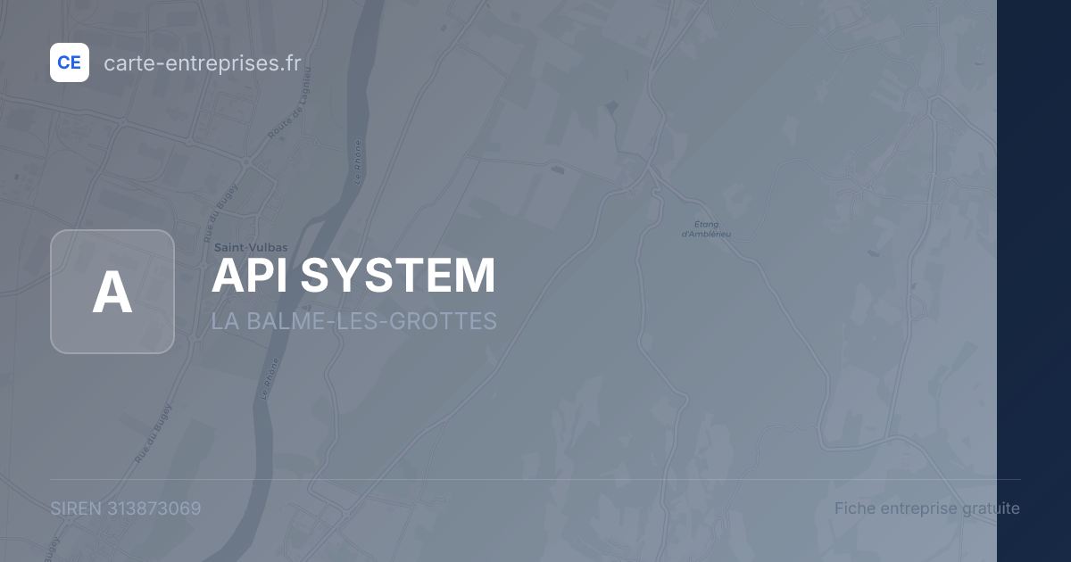 API SYSTEM — 313873069 — fiche entreprise
