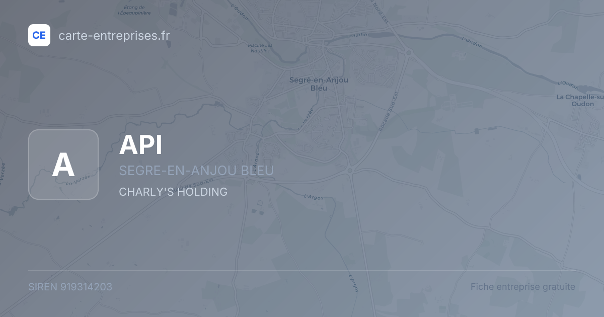 API — 919314203 — fiche entreprise