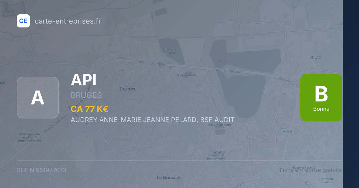 API — 951977073 — fiche entreprise
