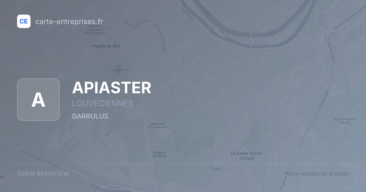 APIASTER — 994667616 — fiche entreprise
