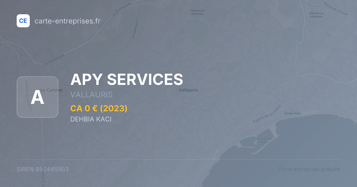 APY SERVICES — 892445503 — fiche entreprise