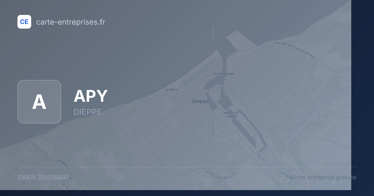 APY — 313018897 — fiche entreprise