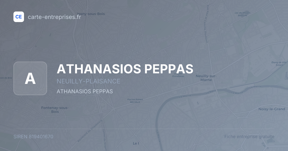 ATHANASIOS PEPPAS — 819401670 — fiche entreprise