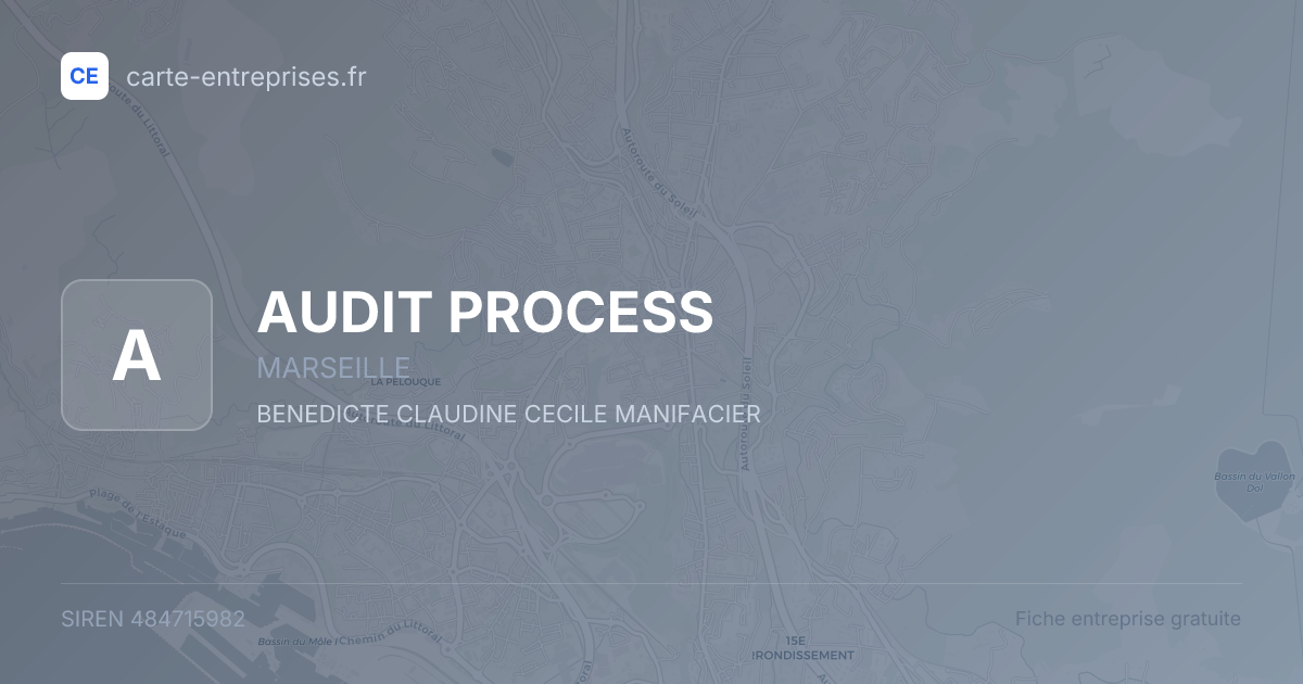 AUDIT PROCESS — 484715982 — fiche entreprise