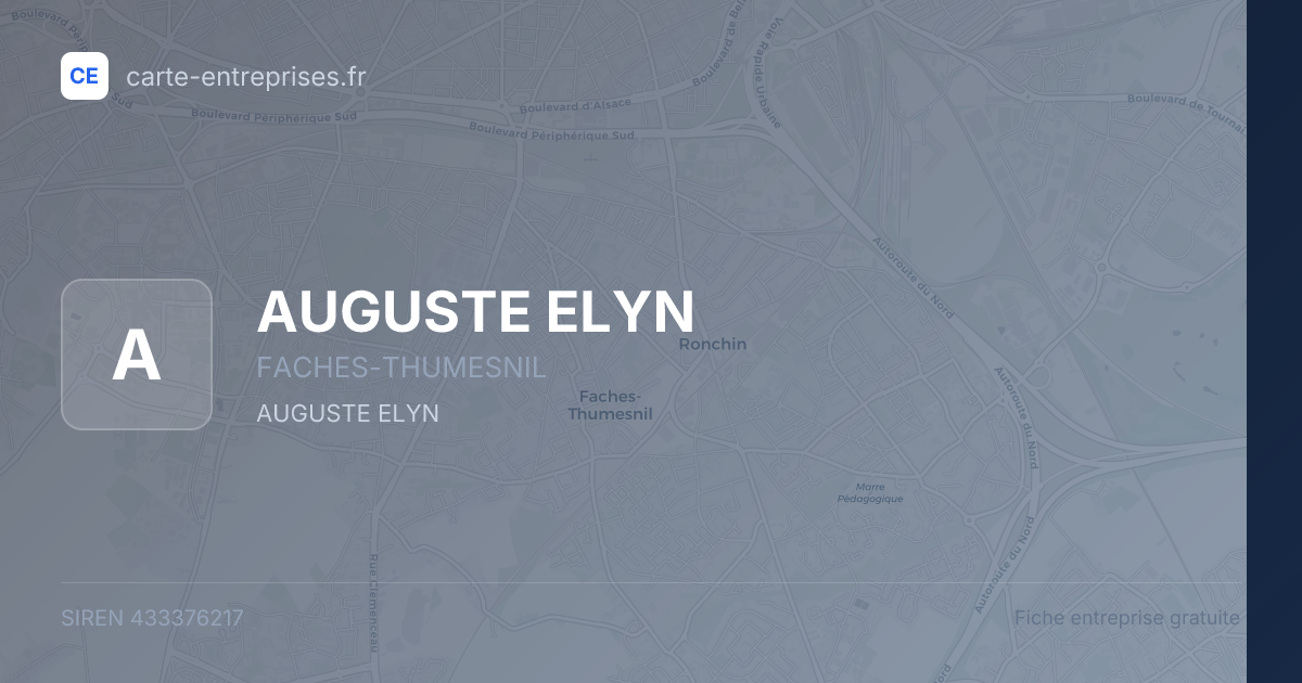 AUGUSTE ELYN — 433376217 — fiche entreprise