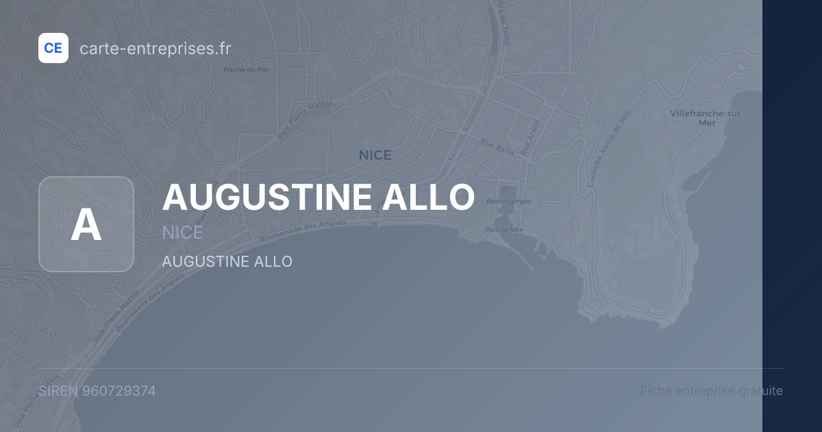 AUGUSTINE ALLO — 960729374 — fiche entreprise