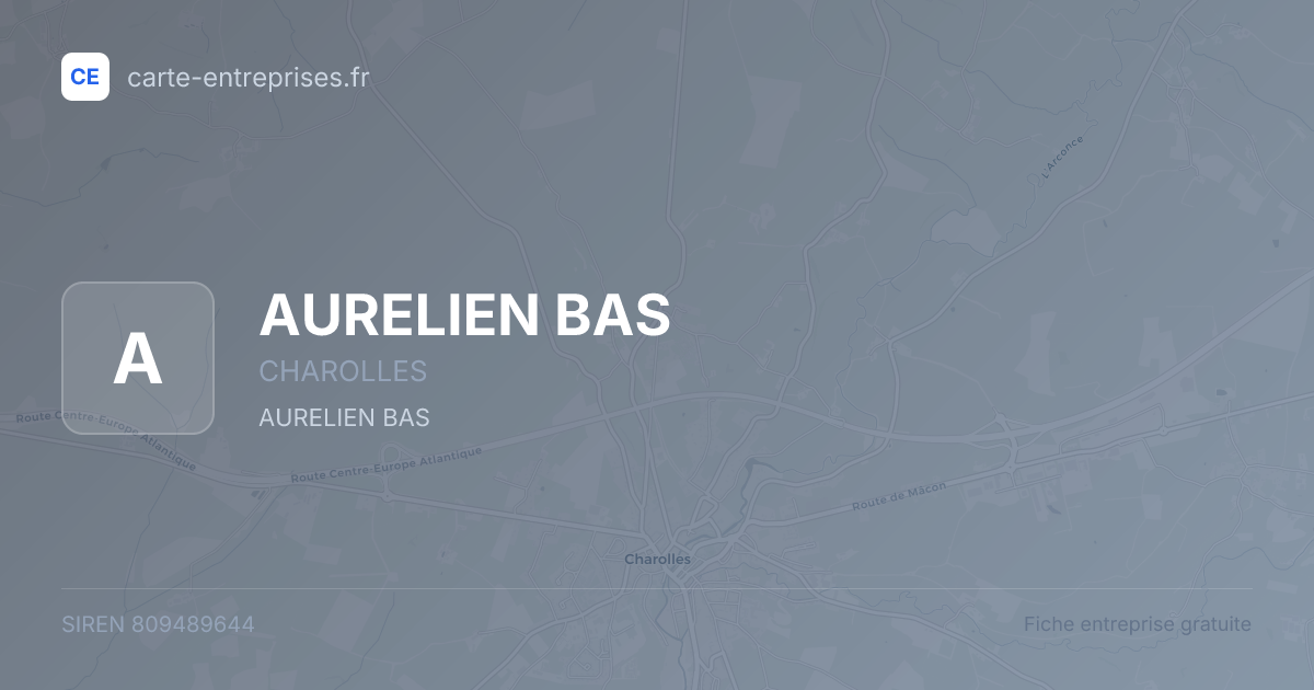 AURELIEN BAS — 809489644 — fiche entreprise