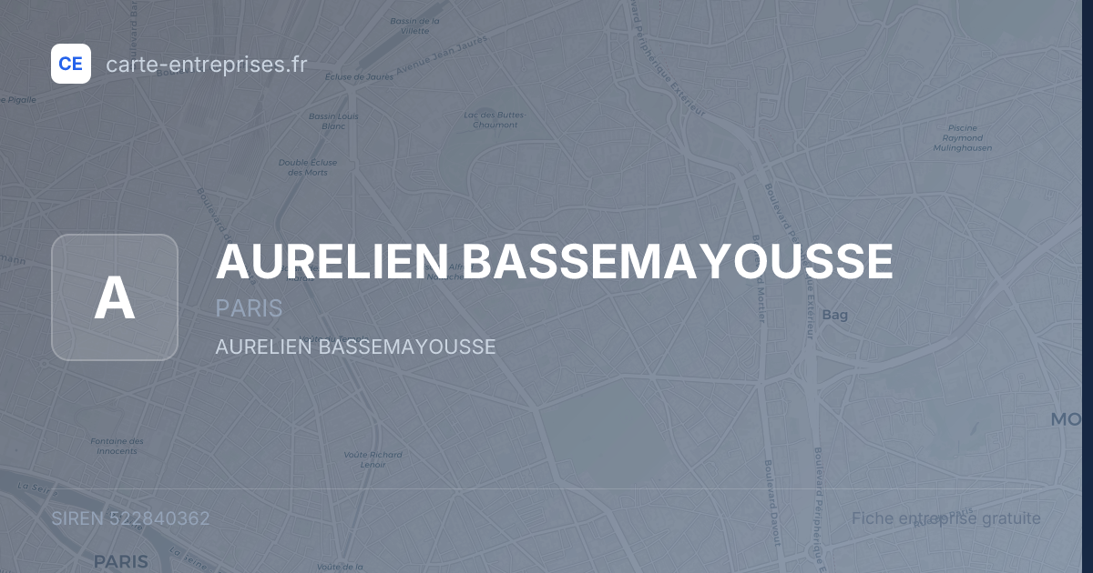 AURELIEN BASSEMAYOUSSE — 522840362 — fiche entreprise