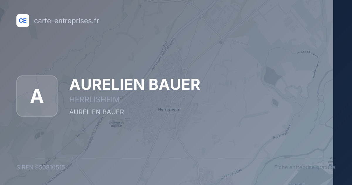 AURELIEN BAUER — 950810515 — fiche entreprise