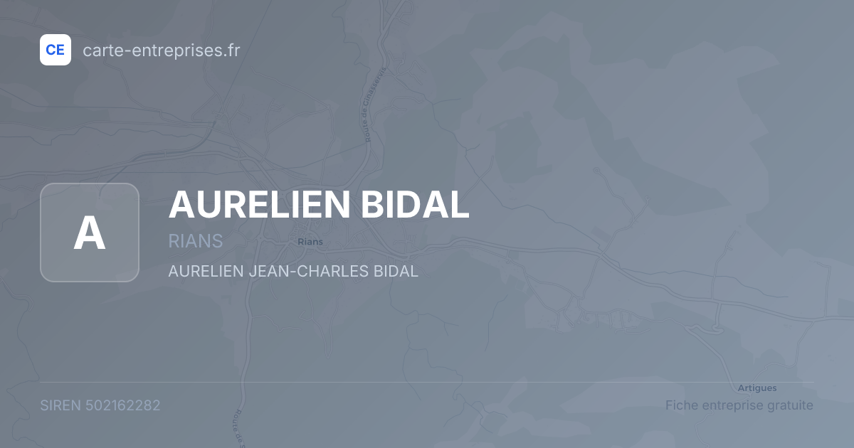 AURELIEN BIDAL — 502162282 — fiche entreprise