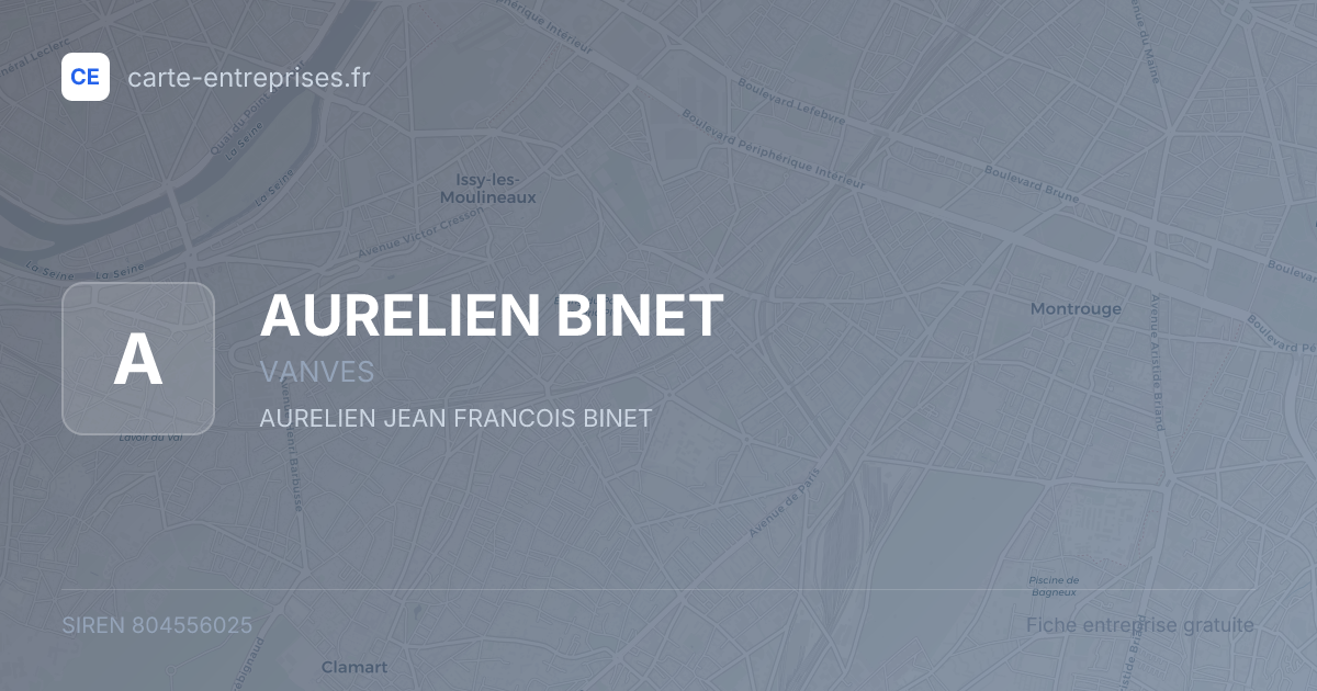 AURELIEN BINET — 804556025 — fiche entreprise