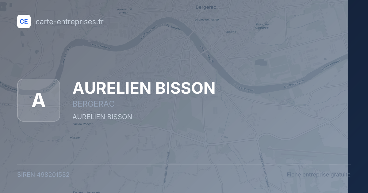 AURELIEN BISSON — 498201532 — fiche entreprise