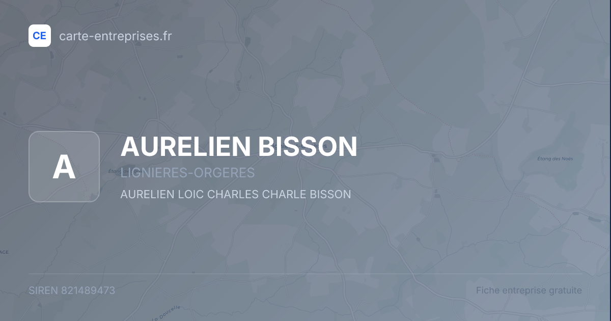 AURELIEN BISSON — 821489473 — fiche entreprise