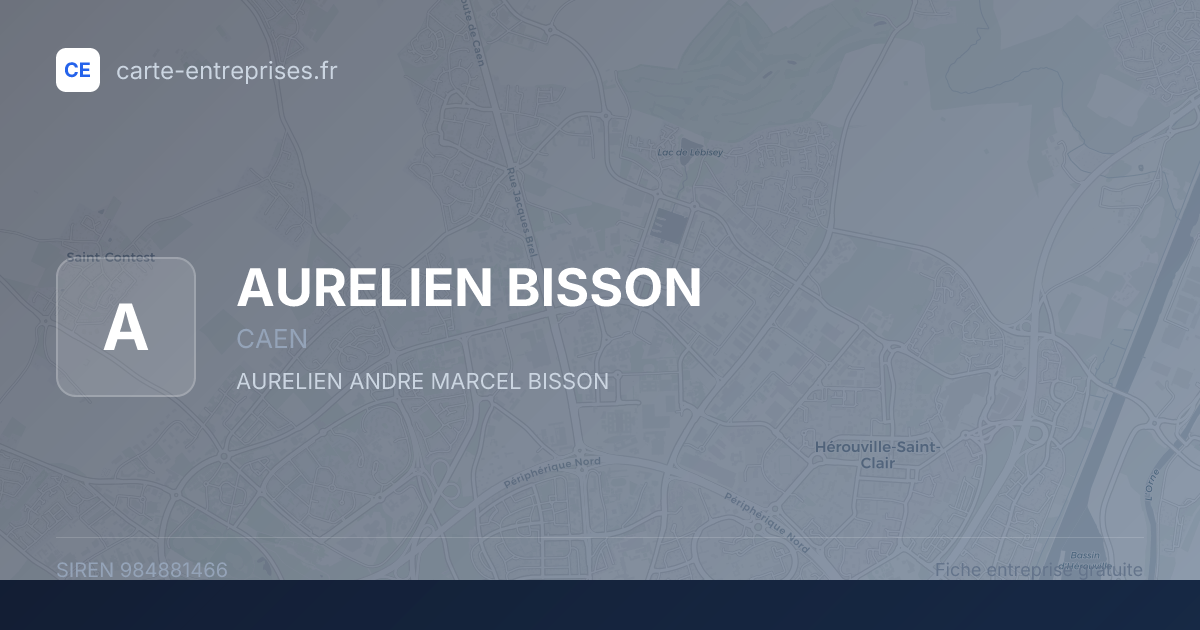 AURELIEN BISSON — 984881466 — fiche entreprise