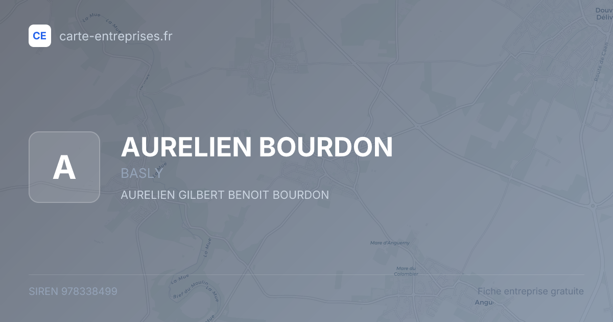 AURELIEN BOURDON — 978338499 — fiche entreprise