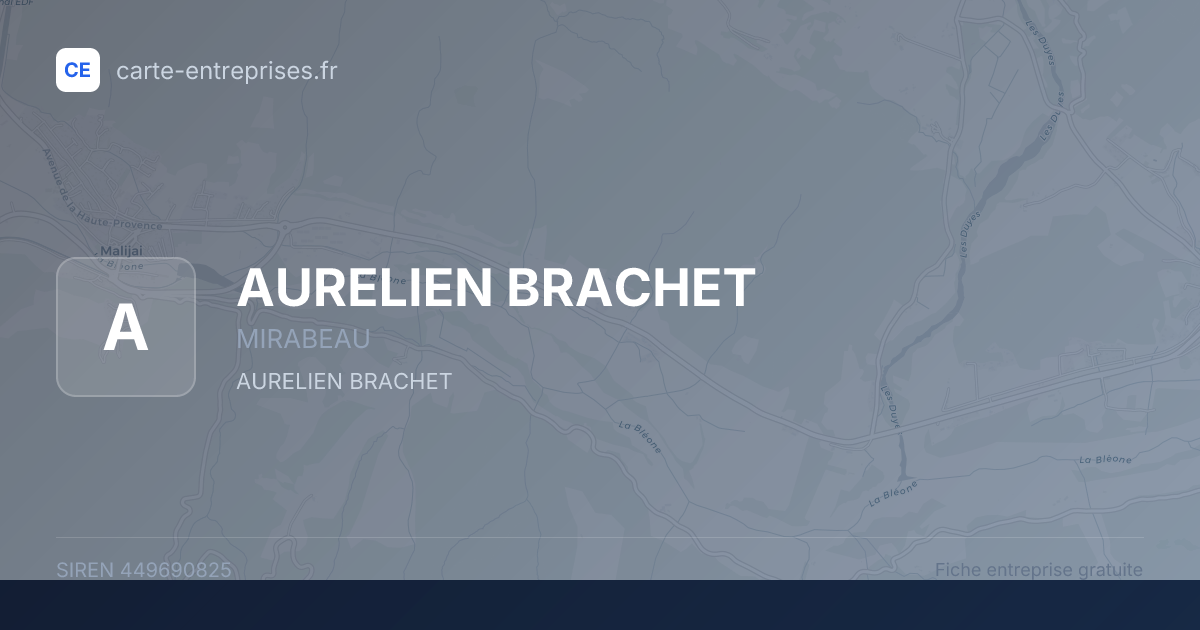 AURELIEN BRACHET — 449690825 — fiche entreprise