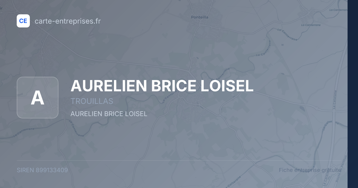 AURELIEN BRICE LOISEL — 899133409 — fiche entreprise