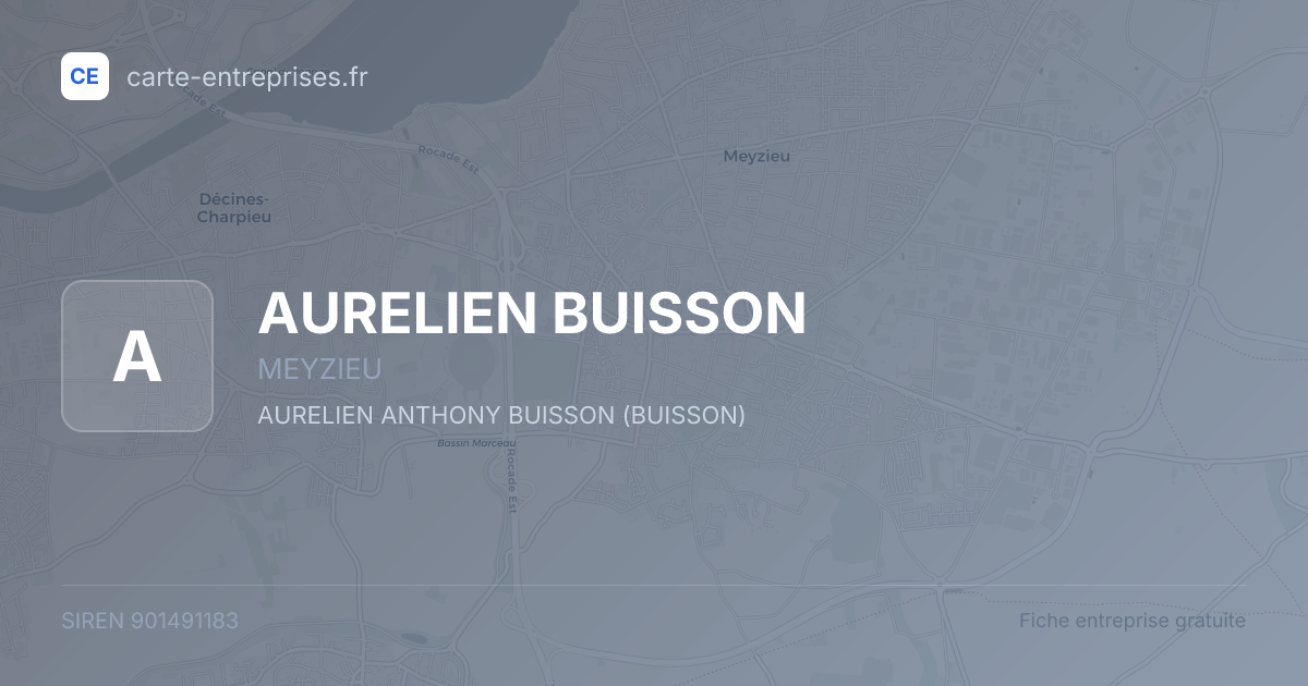 AURELIEN BUISSON — 901491183 — fiche entreprise