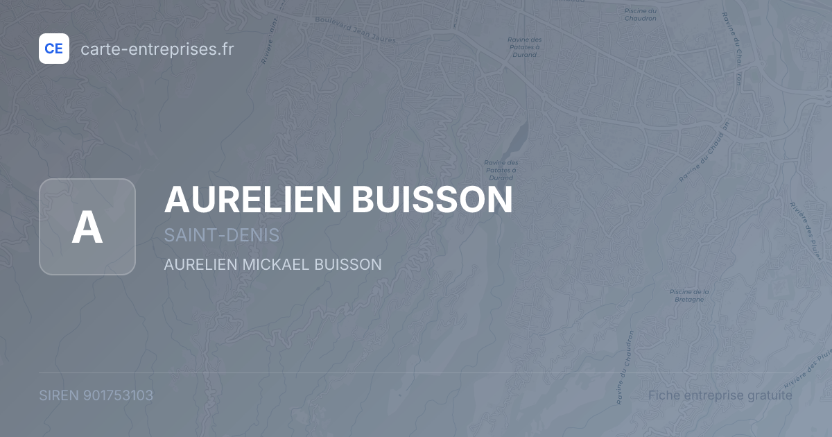 AURELIEN BUISSON — 901753103 — fiche entreprise