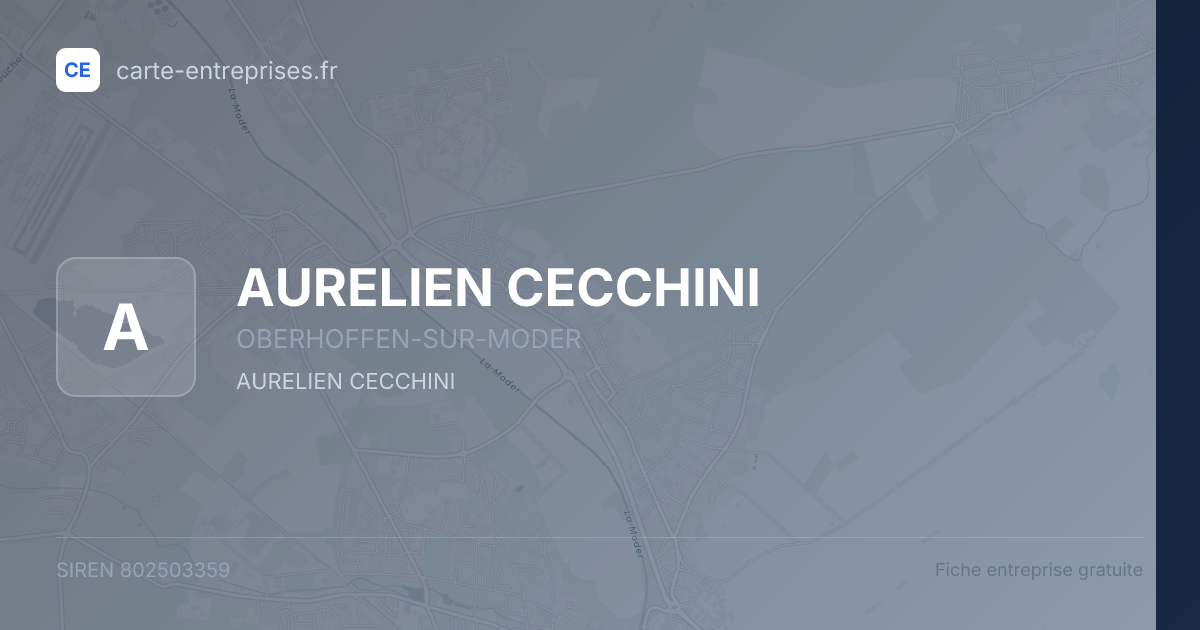 AURELIEN CECCHINI — 802503359 — fiche entreprise