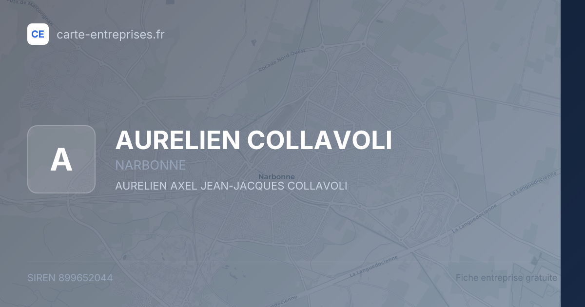 AURELIEN COLLAVOLI — 899652044 — fiche entreprise