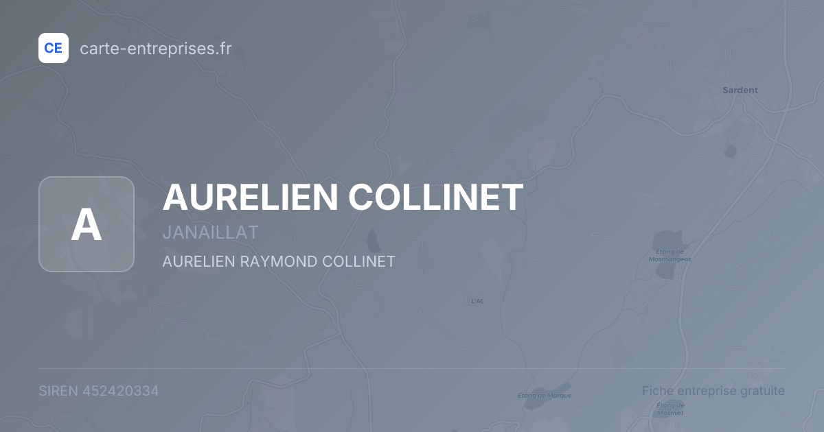 AURELIEN COLLINET — 452420334 — fiche entreprise