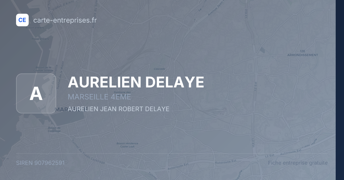 AURELIEN DELAYE — 907962591 — fiche entreprise