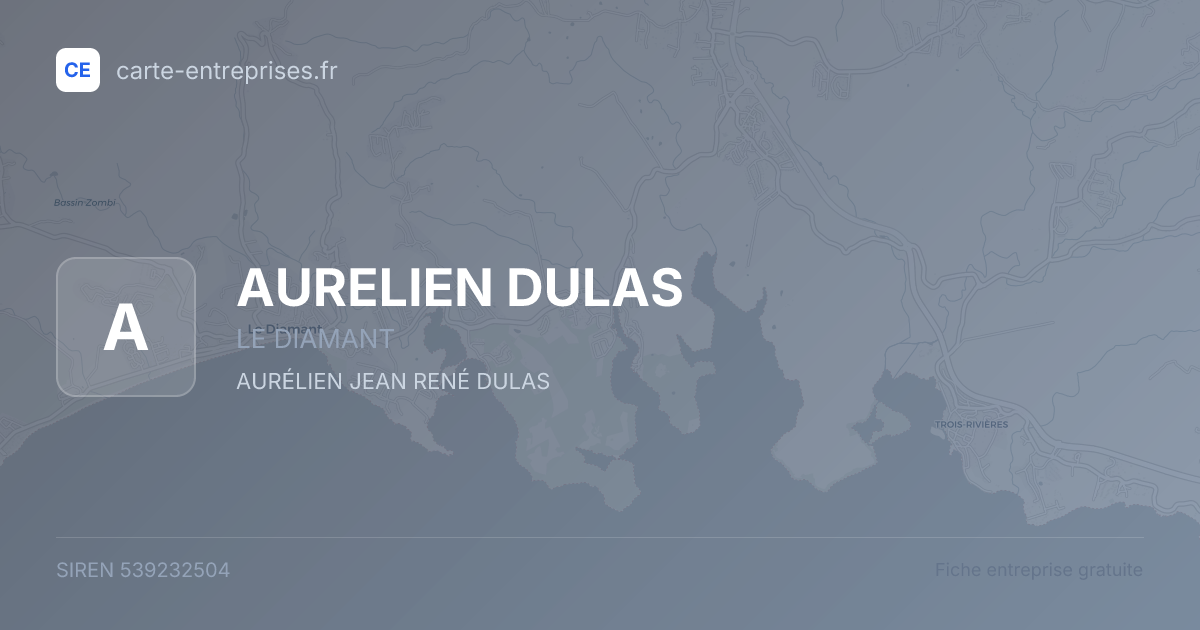 AURELIEN DULAS — 539232504 — fiche entreprise
