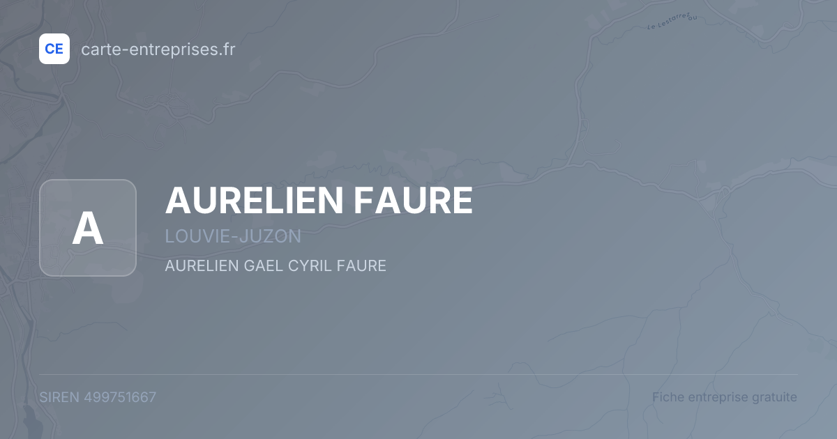 AURELIEN FAURE — 499751667 — fiche entreprise