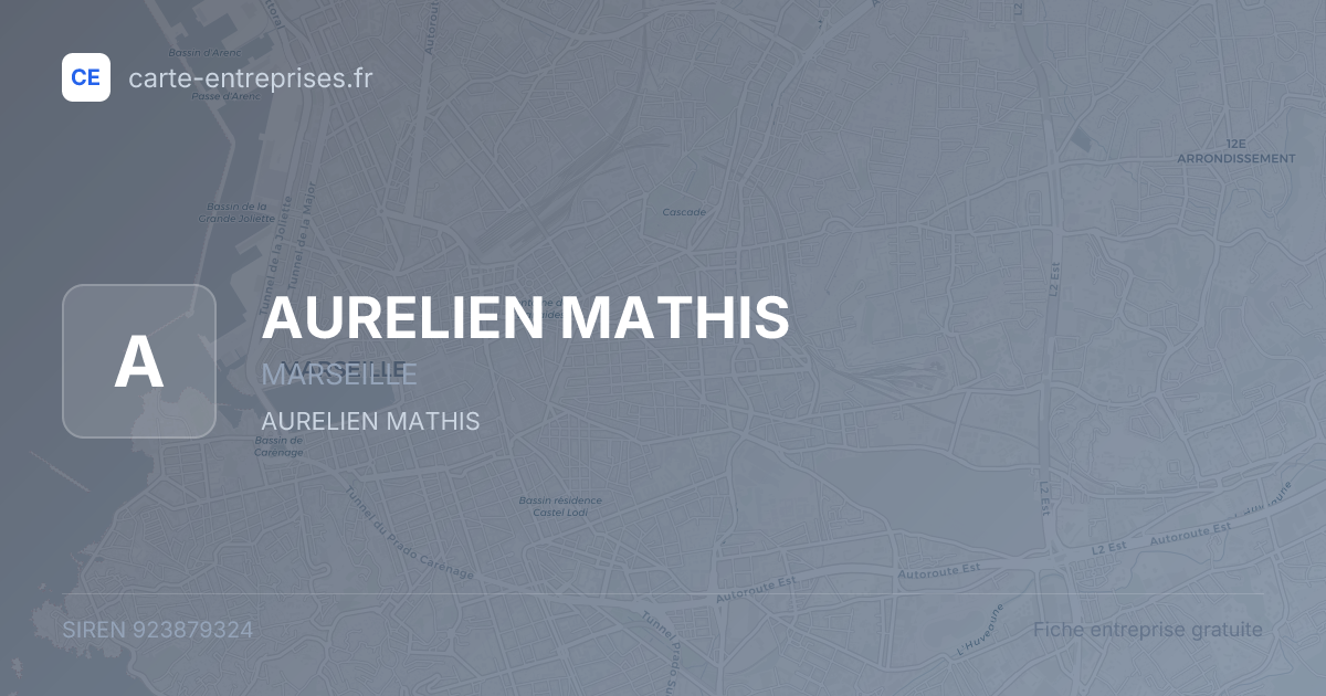 AURELIEN MATHIS — 923879324 — fiche entreprise