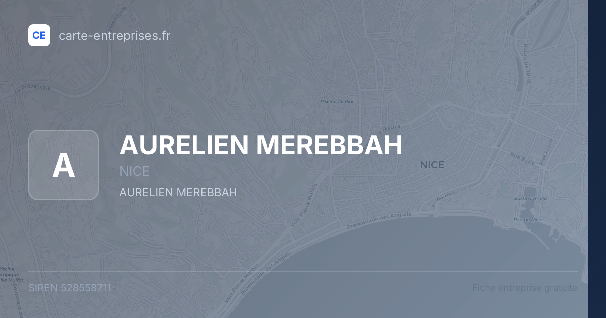 AURELIEN MEREBBAH — 528558711 — fiche entreprise