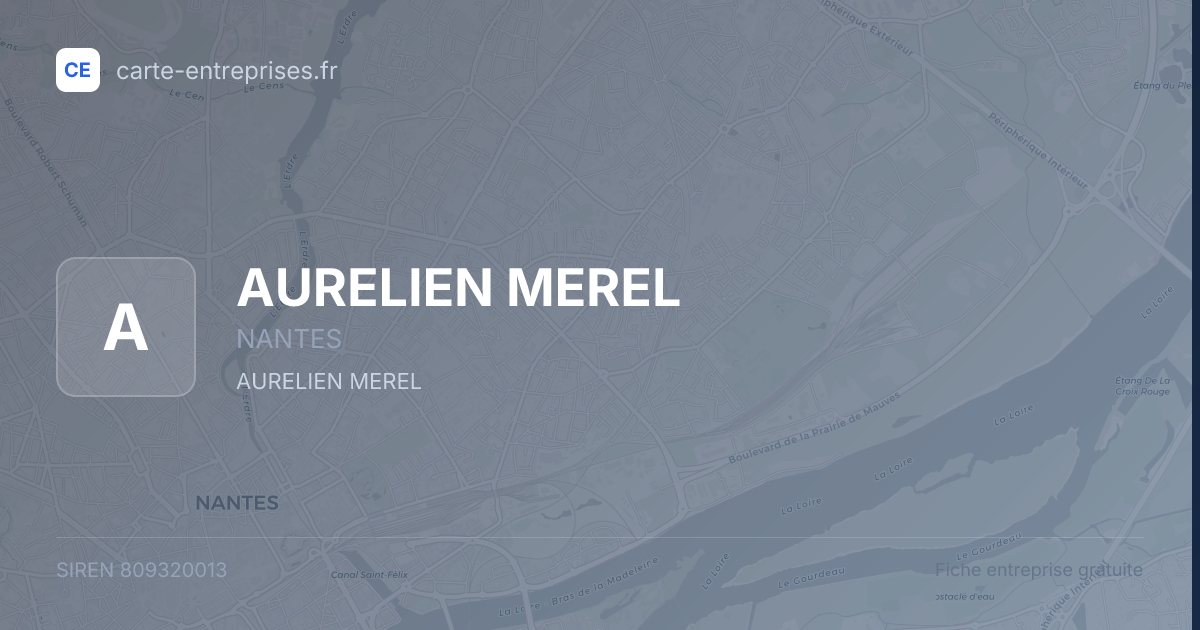 AURELIEN MEREL — 809320013 — fiche entreprise